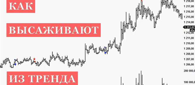 высаживают из тренда